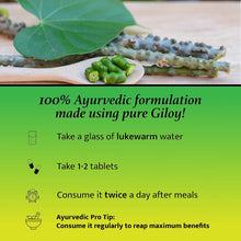Baidyanath Guduchi ( Giloy ) Ghan Bati 60 Tab