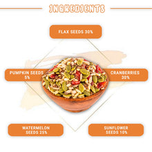 Nutorio Power Mix with Combo of Seeds & Berries 15 g (Pack of 15)