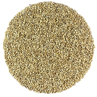 Healthy Munch Quinoa Seeds 250 g