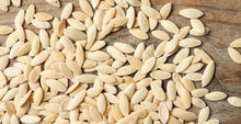 Healthy Munch Dried Cucumber Seeds 100 g