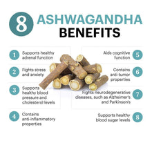 Dhootapapeshwar Ashvagandha Tablet