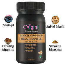 Vigini Hammer King Gold Shilajit Capsule