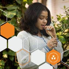 Panjiri Foods Honey Sticks Mustard Flora