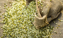 Shoonya Organic Moong Dal 500 GM - Certified Organic