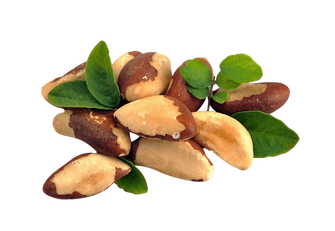 Healthy Munch Brazil Nuts 200 g